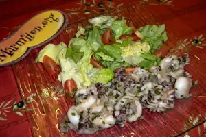 35135_w300h200c1cx256cy192.webp.jpg